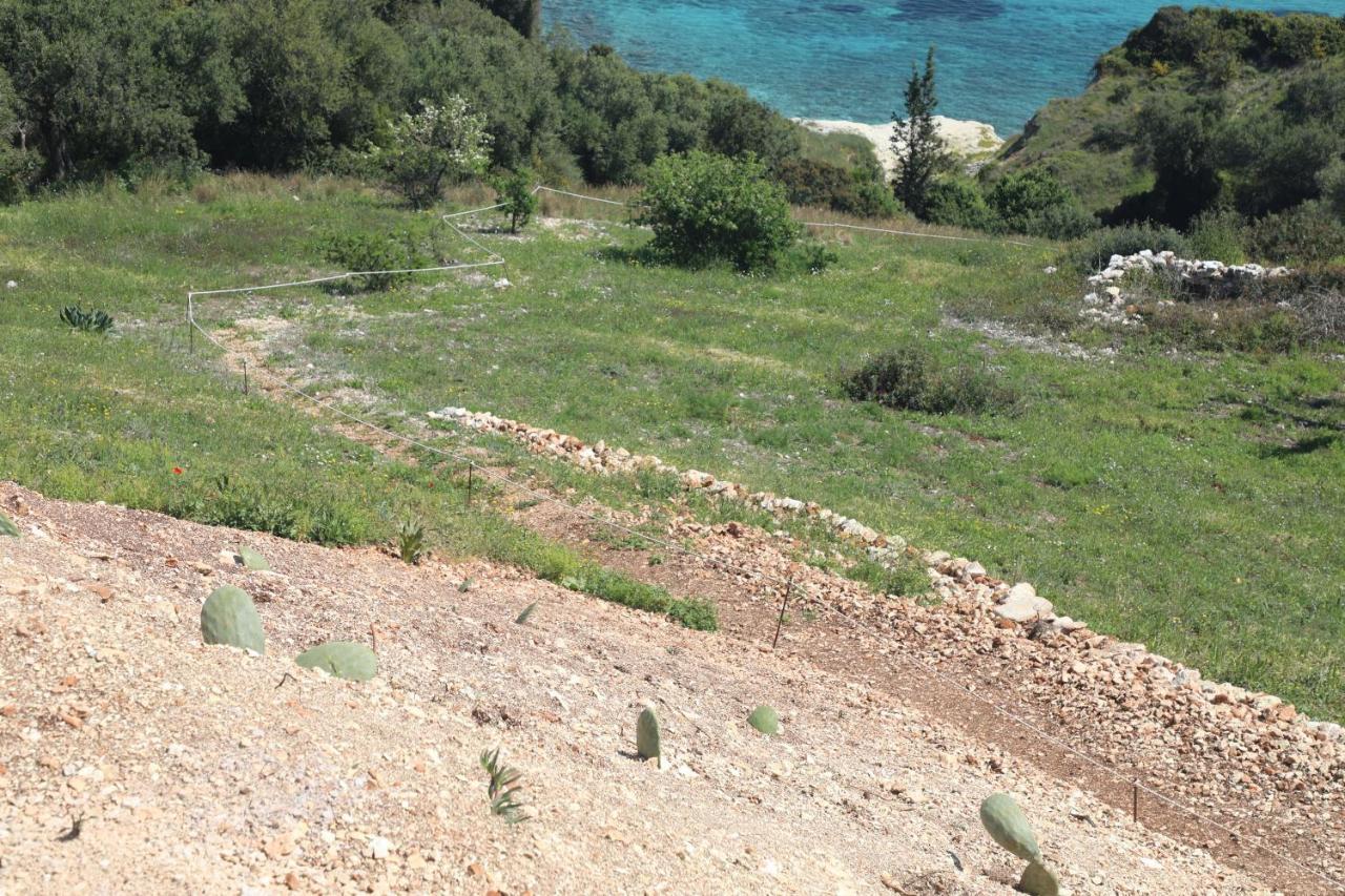 Appartamento Zante Xigia Bay Khartáta Esterno foto